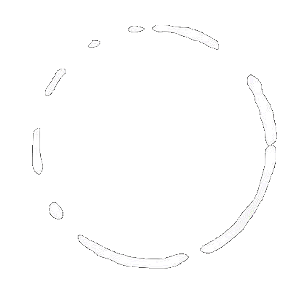 Tributo Fest